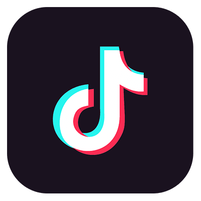 TikTok Icon